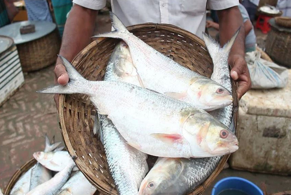 মধ্যরাত থেকে ইলিশ আহরণে নামছেন জেলেরা