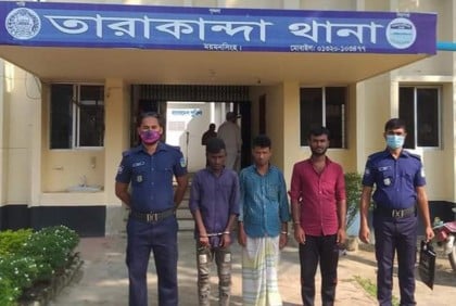 তারাকান্দায় গরুসহ আটক ৩ চোর