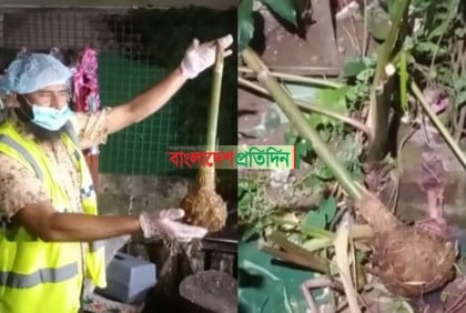 পুকুরে নয়, সেই গদা মিলেছে বাড়ির প্রাচীরের ভেতর