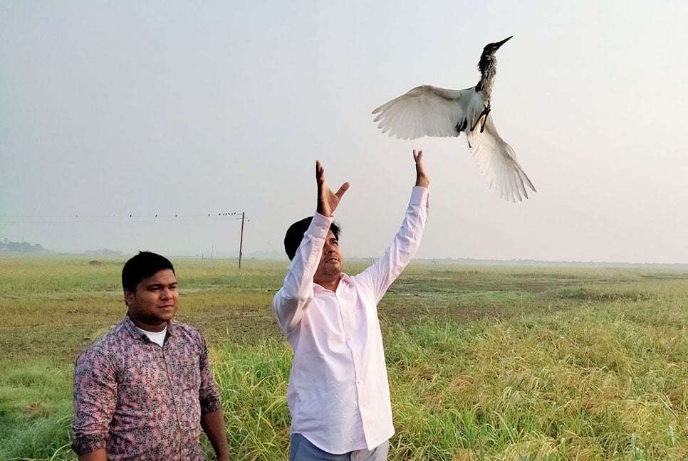 তিন শতাধিক বক অবমুক্ত
