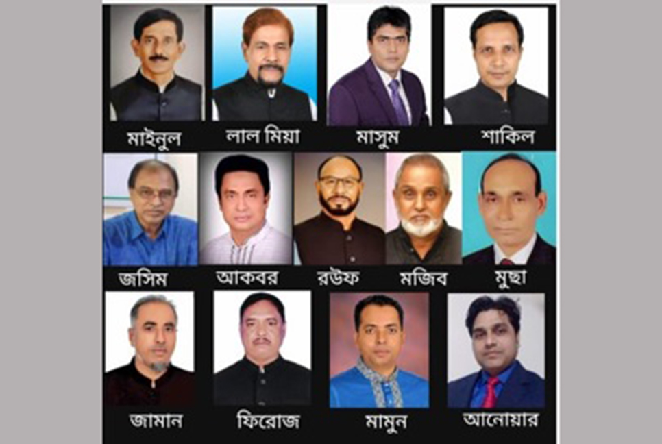 ইউপি নির্বাচনে নবীনগরে নৌকার মাঝি হলেন যারা
