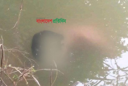 খুলনায় একই পরিবারের তিনজনকে কুপিয়ে হত্যা