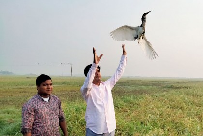 তিন শতাধিক বক অবমুক্ত