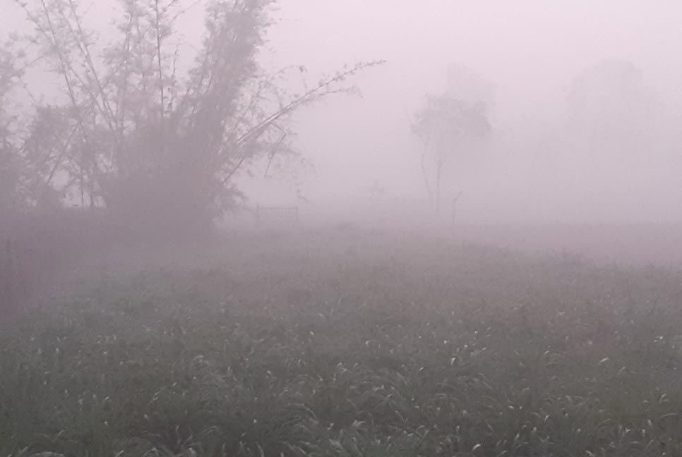 কুয়াশা জানান দিয়ে আসছে শীত