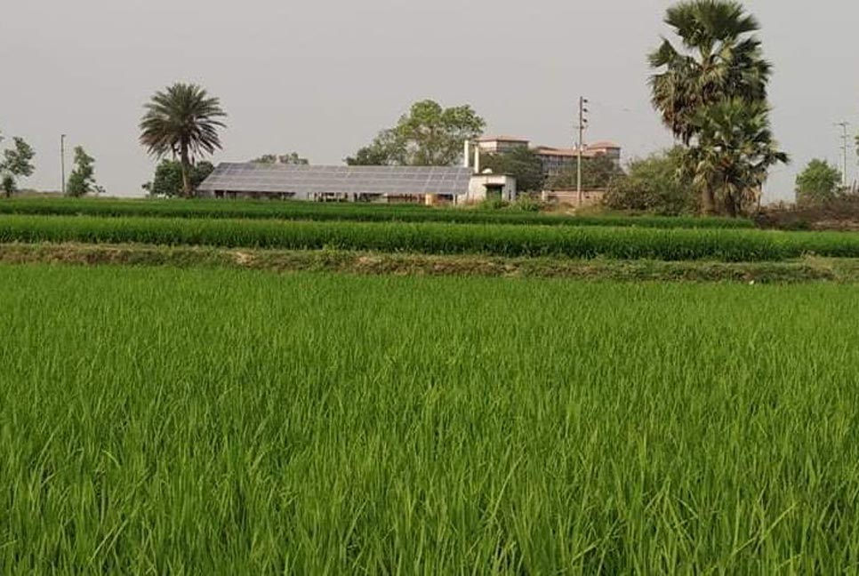 খরা মোকাবেলায় বিএমডিএ'র সেচ সুবিধা প্রদান 