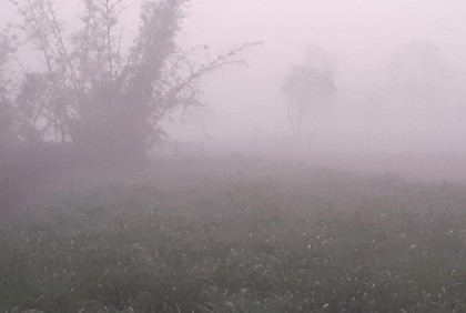 কুয়াশা জানান দিয়ে আসছে শীত