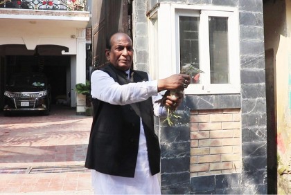 অর্ধ শতাধিক পাখি অবমুক্ত করলেন আব্দুল কুদ্দুস এমপি 