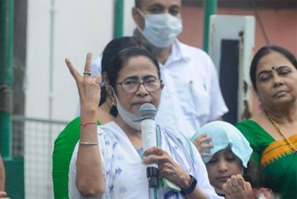 ঘাস ফুল ফোটাতে গোয়ায় মমতা