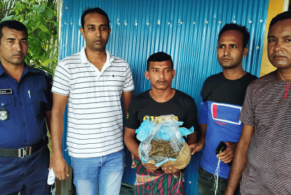 মোরেলগঞ্জে গাঁজাসহ যুবক আটক