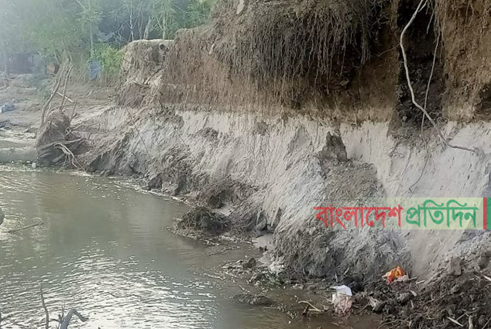 চাঁপাইনবাবগঞ্জে মহানন্দার ভাঙন শুরু, বিলীন হচ্ছে ঘরবাড়ি