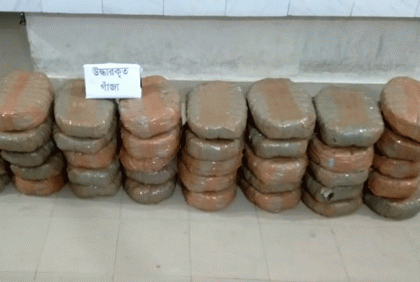 বগুড়ায় গাঁজাসহ গ্রেফতার ১