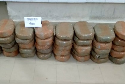 নওগাঁয় ১০০ কেজি গাঁজাসহ গ্রেফতার ১