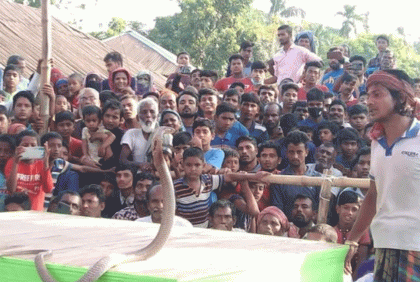 কুষ্টিয়ায় ঐতিহ্যবাহী সাপ খেলা অনুষ্ঠিত