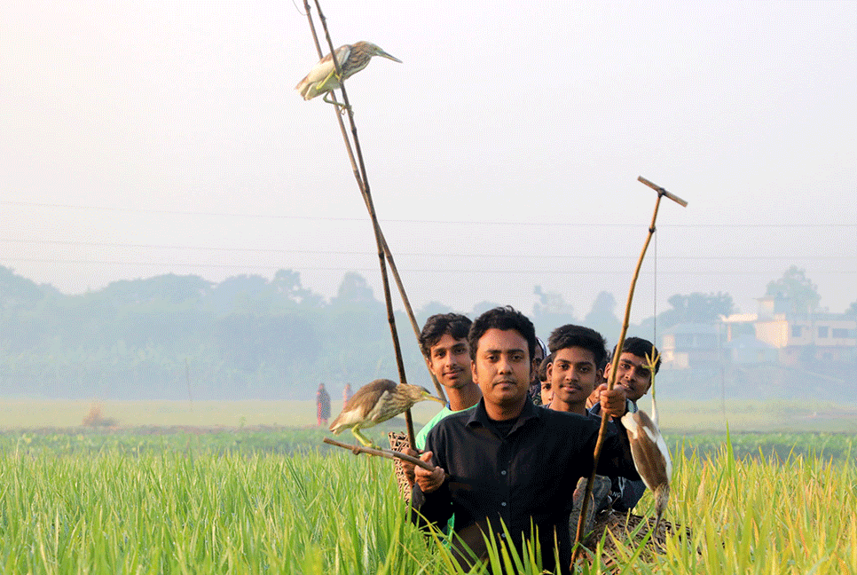 দুই শতাধিক বক অবমুক্ত