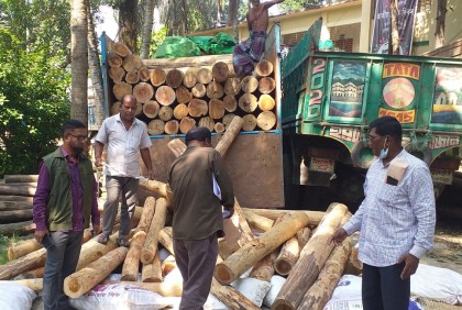 কুমিল্লায় পাঁচ লাখ টাকার অবৈধ কাঠ আটক 