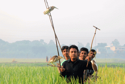 দুই শতাধিক বক অবমুক্ত