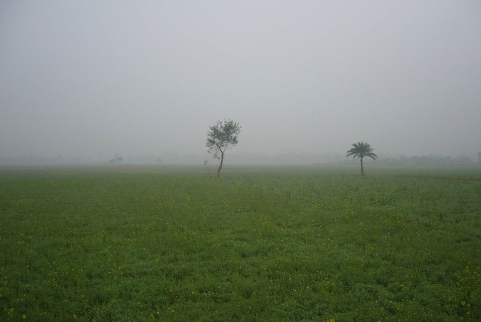 তেঁতুলিয়ায় ফের দেশের সর্বনিম্ন তাপমাত্রা 