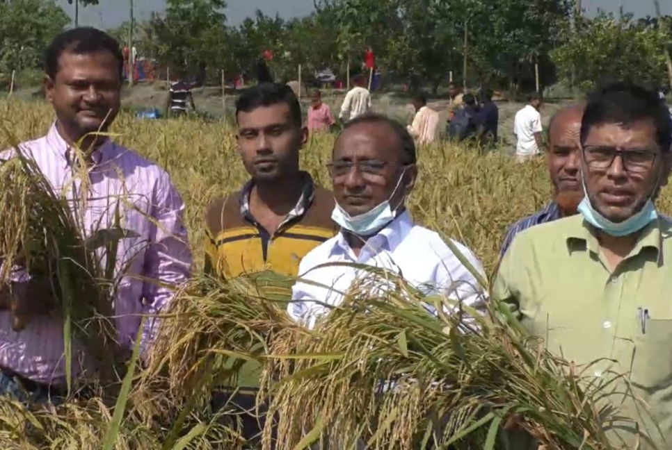 ভোলায় মাঠ দিবস পালিত