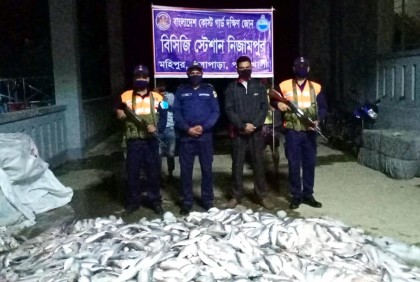 পটুয়াখালীতে ৩০ মণ জাটকা ইলিশ জব্দ
