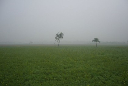 তেঁতুলিয়ায় ফের দেশের সর্বনিম্ন তাপমাত্রা 