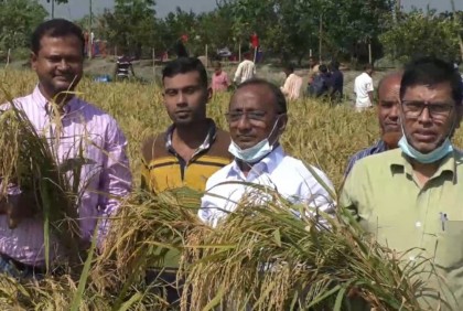 ভোলায় মাঠ দিবস পালিত
