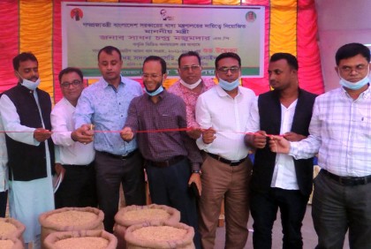 ঝিনাইদহে অভ্যন্তরীণ আমন ধান সংগ্রহের উদ্বোধন