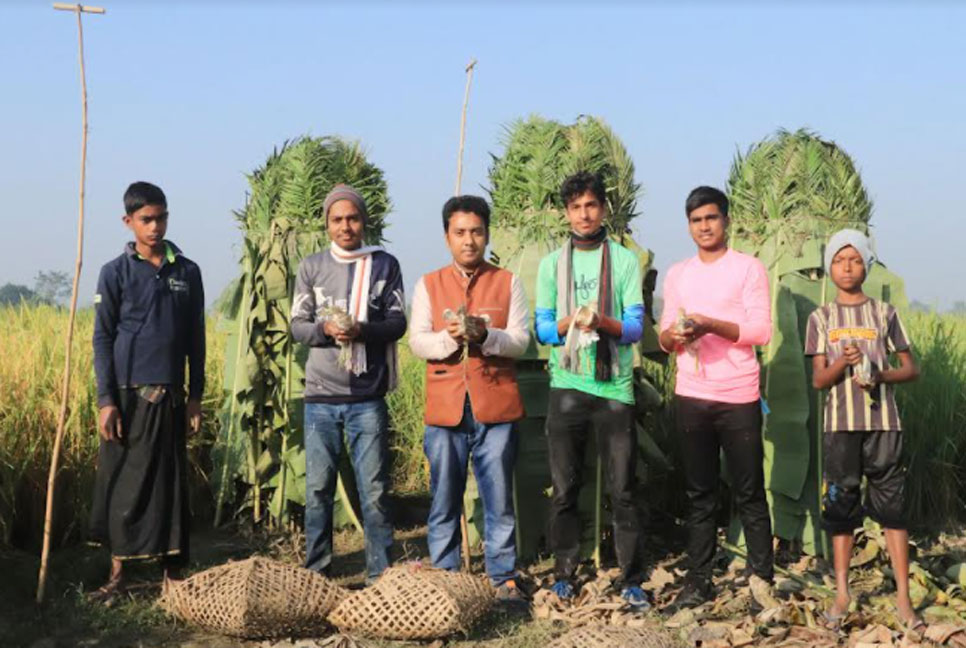 শিকারীর ফাঁদ থেকে উদ্ধার হওয়া ৩৫০ পাখি অবমুক্ত