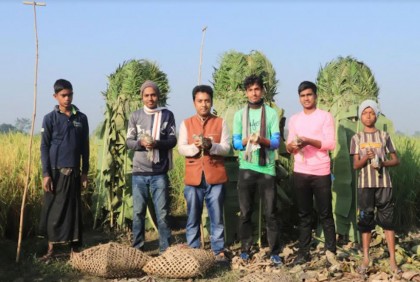 শিকারীর ফাঁদ থেকে উদ্ধার হওয়া ৩৫০ পাখি অবমুক্ত