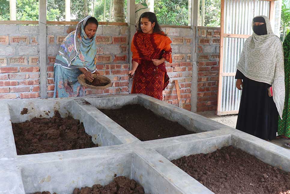 বাণিজ্যিকভাবে কেঁচো সার উৎপাদনে সফল জেসমিন