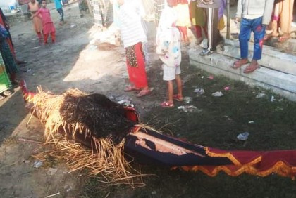 শেরপুরে নৌকা প্রতীকে আবারও আগুন