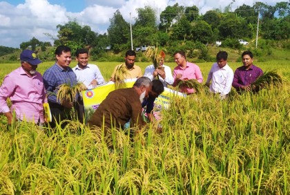 মানিকছড়িতে কৃষি প্রশিক্ষণ, মাঠ দিবস ও ধান কাটা উদ্বোধন