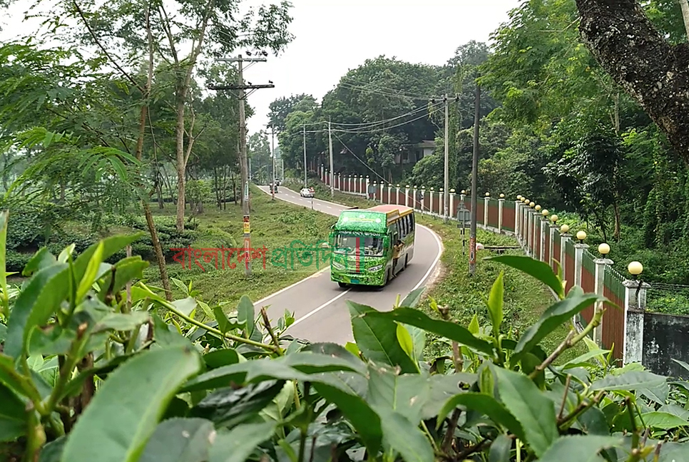 মৌলভীবাজারের পর্যটন খাতে সাড়া ফেলেছে টুরিস্ট বাস