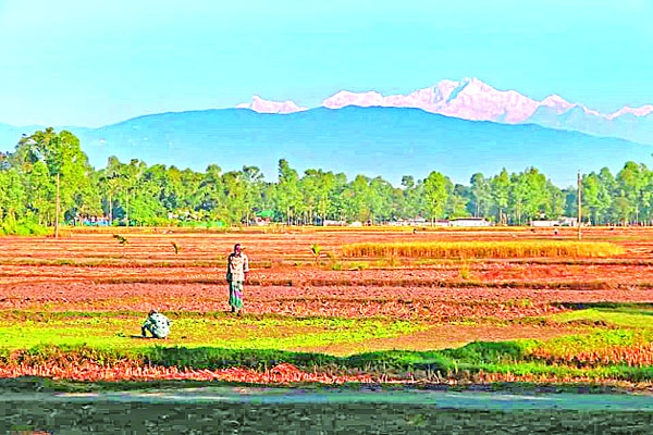 কাঞ্চনজঙ্ঘার অপরূপ দৃশ্য পঞ্চগড়ে