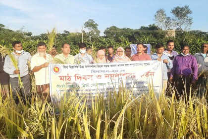 বরিশালে কৃষক মাঠ দিবস অনুষ্ঠিত