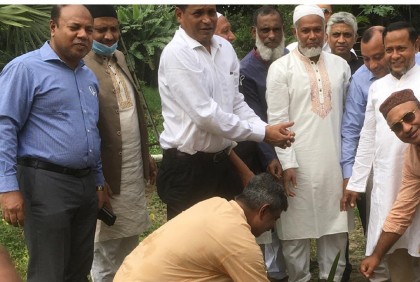 বজ্রপাত প্রতিরোধে তালগাছের চারা বিতরণ 