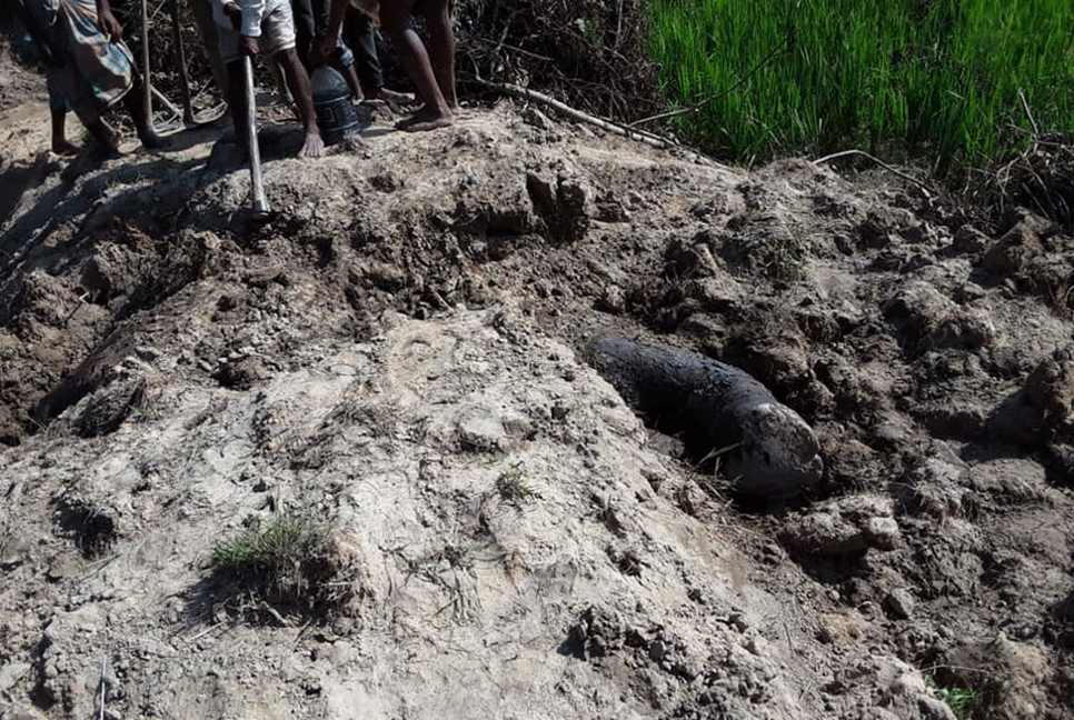চকরিয়ায় মৃত হাতি উদ্ধার