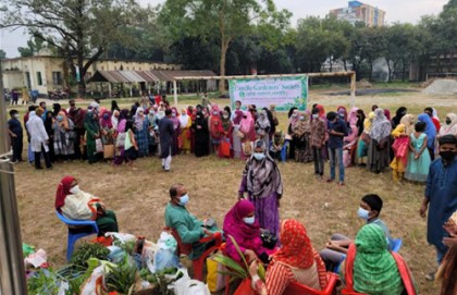 দুই শতাধিক বাগানির তিন সহস্রাধিক কলম চারা বিনিময় 