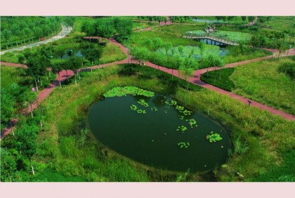 বন্যা সমস্যা দূর করতে চীনে তৈরি হচ্ছে ‌‘স্পঞ্জ সিটি’