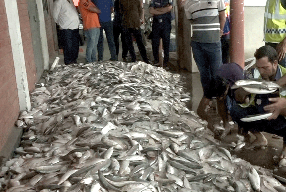 বরিশালে ২০০ মণ জাটকা জব্দ