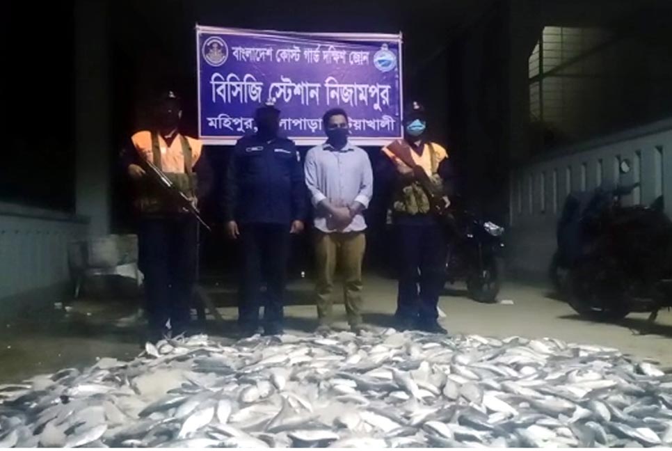 পটুয়াখালীতে এক হাজার ছয়শ’ কেজি ঝাটকা জব্দ