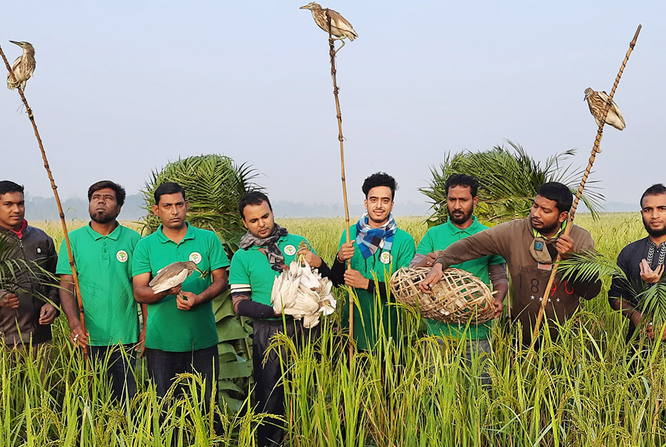 মুচলেকায় ছাড়া পেলেন শিকারি, ২০ বক অবমুক্ত