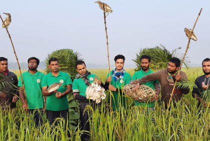 মুচলেকায় ছাড়া পেলেন শিকারি, ২০ বক অবমুক্ত