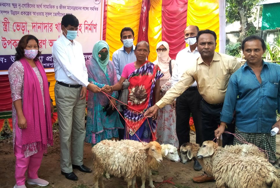 ক্ষুদ্র নৃ-গোষ্ঠীদের মাঝে ভেড়া বিতরণ