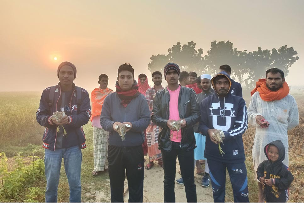 মুক্ত আকাশে ১২০টি বক পাখি