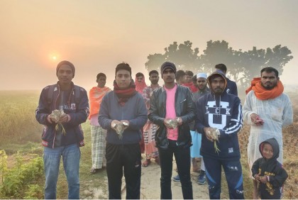 মুক্ত আকাশে ১২০টি বক পাখি