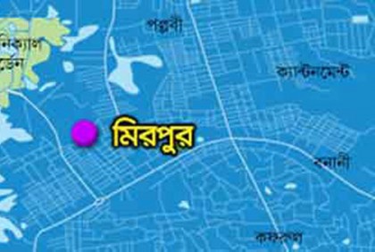মায়ের লাইসেন্স করা অস্ত্র নিয়ে দুলাভাইকে গুলি করে হত্যা