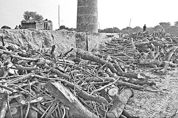 দণ্ডের পরও ভাটায় পুড়ছে খড়ি