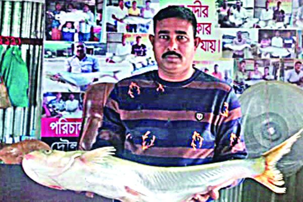 ১৬৮০০ টাকায় ঢাই মাছ বিক্রি