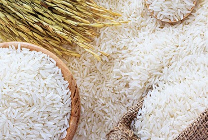 চাল কেটে মিনিকেট নাজিরশাইল নামে বিক্রি করে কারা