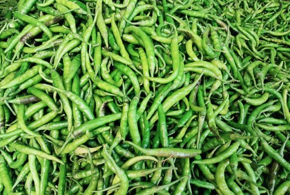 
দিনাজপুরে কমেছে কাঁচা মরিচের দাম